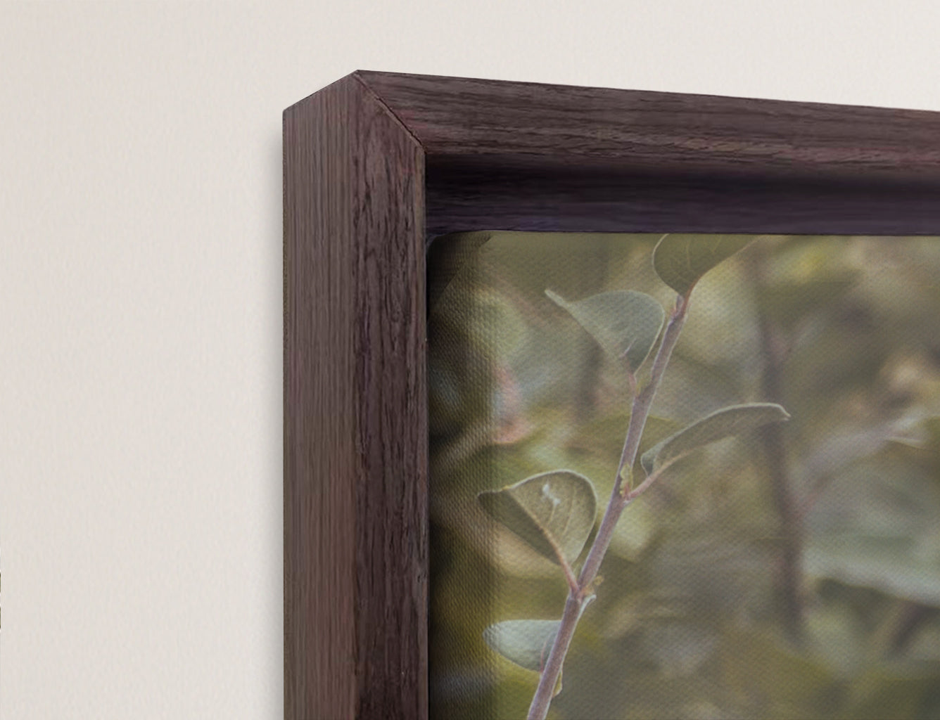 Floating Frame Canvas