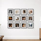 A 3x4 grid of twelve framed photo tiles on Diamond Photo Australia. The black-and-white and color photographs hang on a white wall in a styled interior room with a window, plant, lamp, and wooden cabinet.